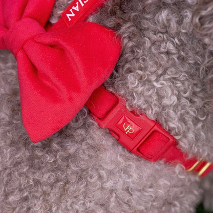Samt-H-Geschirr mit Schleife – Rot