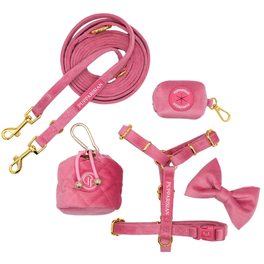 Verstellbare Samt-Hundeleine 3 m – Rosa