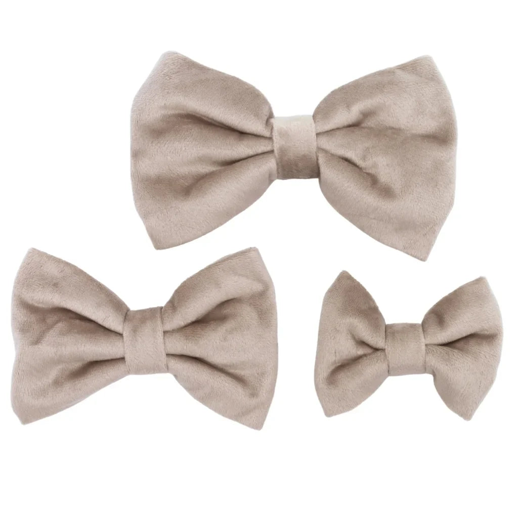 Hundefliege aus Samt – Beige