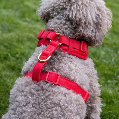 Druckfreies Hundegeschirr aus Samt – Rot