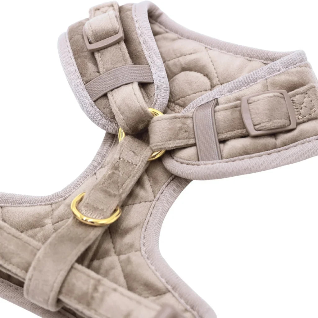 Druckfreies Hundegeschirr aus Samt – Beige