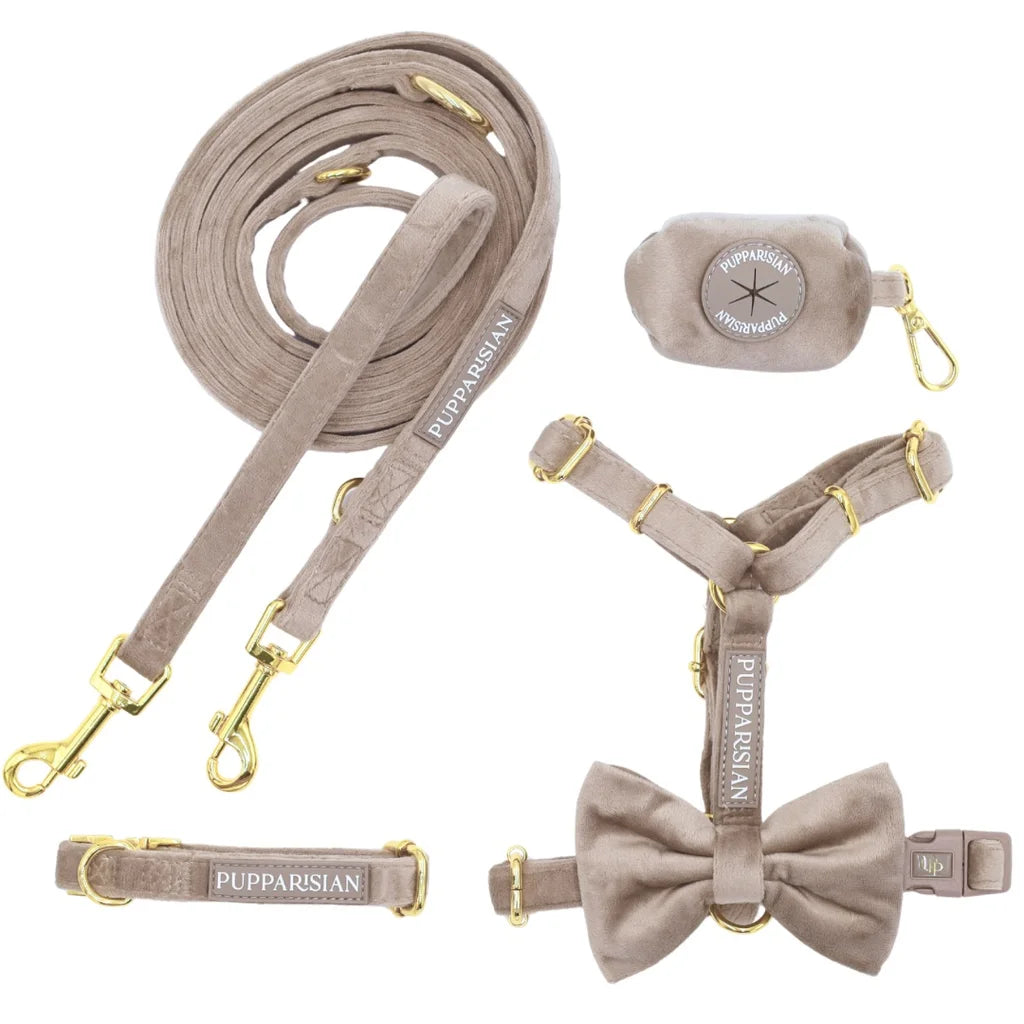 Verstellbare Samt-Hundeleine 3 m – Beige