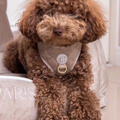 Druckfreies Hundegeschirr aus Samt – Beige