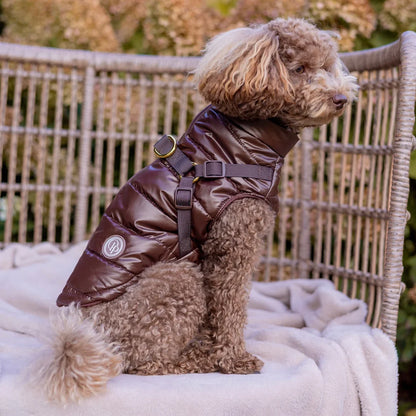 Winter-Hundemantel 2-in-1 (Gefüttert & Wasserfest) mit Geschirr – Braun