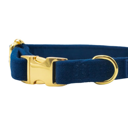 Samt-Halsband mit Fliege – Dunkelblau