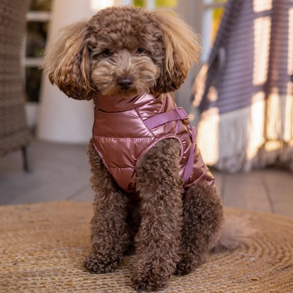 Winter-Hundemantel 2-in-1 (Gefüttert & Wasserfest) mit Geschirr – Rosa