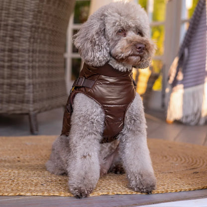 Winter-Hundemantel 2-in-1 (Gefüttert & Wasserfest) mit Geschirr – Braun