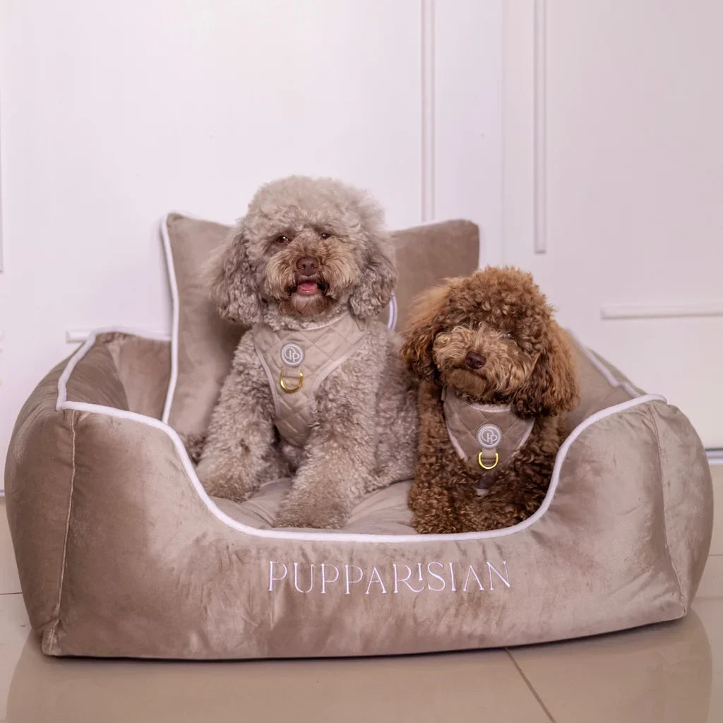 Druckfreies Hundegeschirr aus Samt – Beige