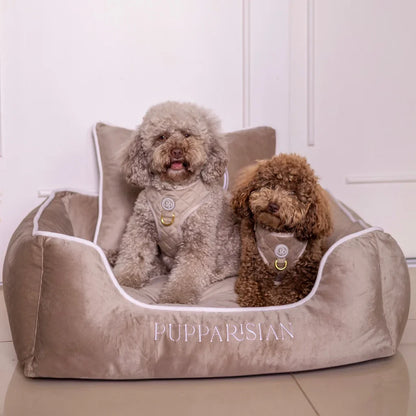 Druckfreies Hundegeschirr aus Samt – Beige