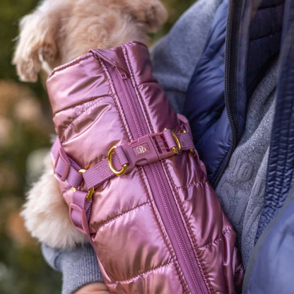 Winter-Hundemantel 2-in-1 (Gefüttert & Wasserfest) mit Geschirr – Rosa