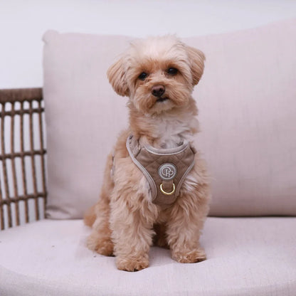 Druckfreies Hundegeschirr aus Samt – Beige