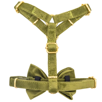 Samt-H-Geschirr mit Schleife – Olivgrün