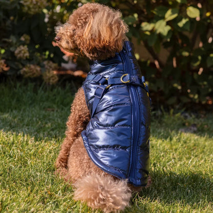 Winter-Hundemantel 2-in-1 (Gefüttert & Wasserfest) mit Geschirr – Dunkelblau