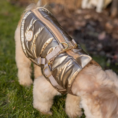 Winter-Hundemantel 2-in-1 (Gefüttert & Wasserfest) mit Geschirr – Gold