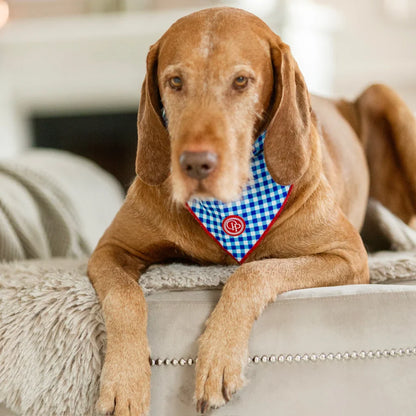 Bandana pro psa v kostce