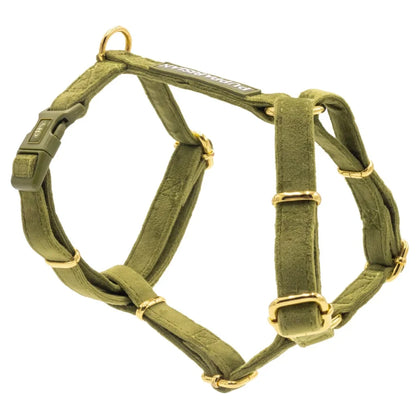 Samt-H-Geschirr mit Schleife – Olivgrün