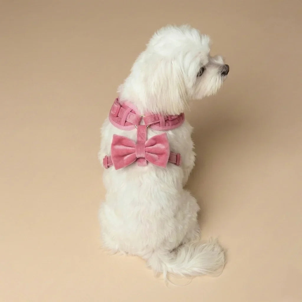 Druckfreies Hundegeschirr aus Samt – Rosa