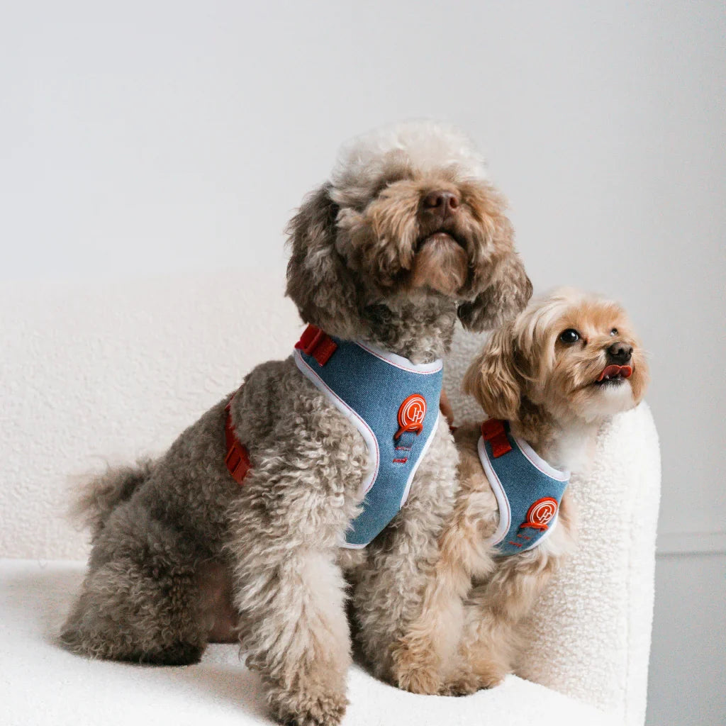 Druckfreies Hundegeschirr – Jeans