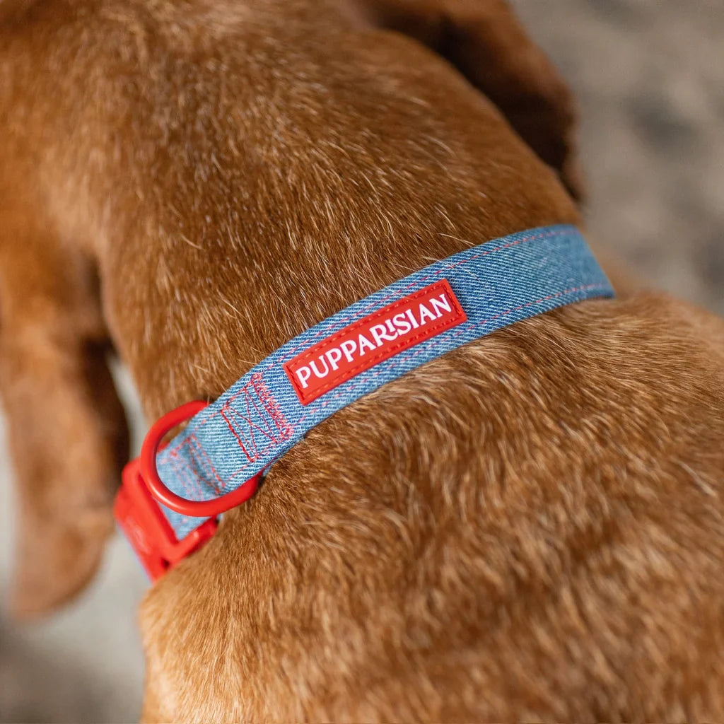 Hundehalsband mit Fliege – Jeans