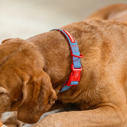Hundehalsband – Jeans