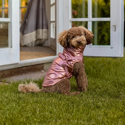 Winter-Hundemantel 2-in-1 (Gefüttert & Wasserfest) mit Geschirr – Rosa