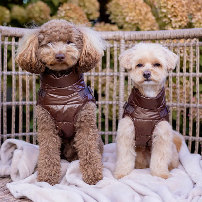 Winter-Hundemantel 2-in-1 (Gefüttert & Wasserfest) mit Geschirr – Braun