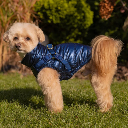Winter-Hundemantel 2-in-1 (Gefüttert & Wasserfest) mit Geschirr – Dunkelblau
