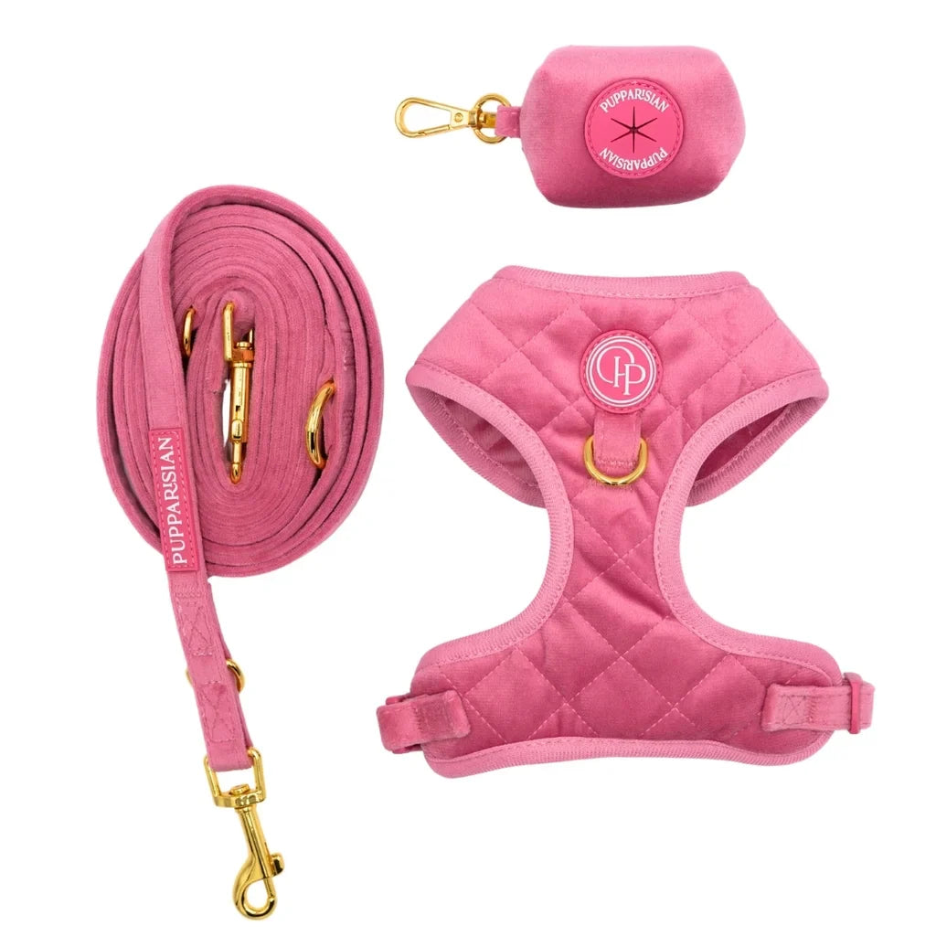 Verstellbare Samt-Hundeleine 3 m – Rosa