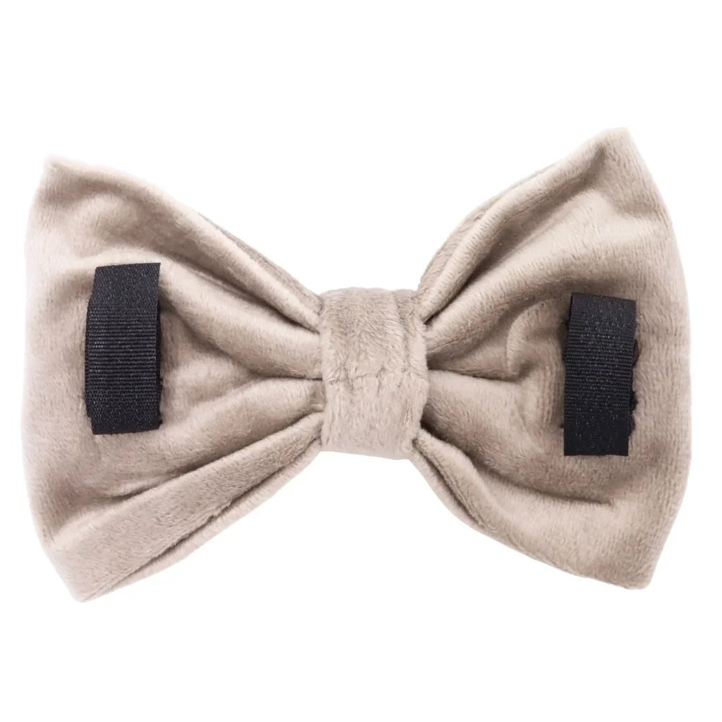Hundefliege aus Samt – Beige