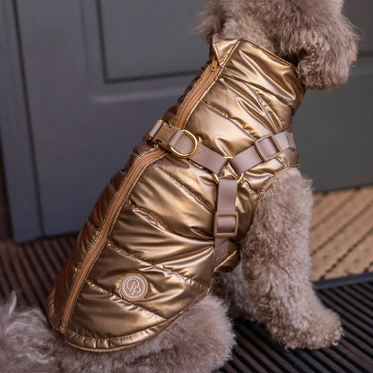 Winter-Hundemantel 2-in-1 (Gefüttert & Wasserfest) mit Geschirr – Gold