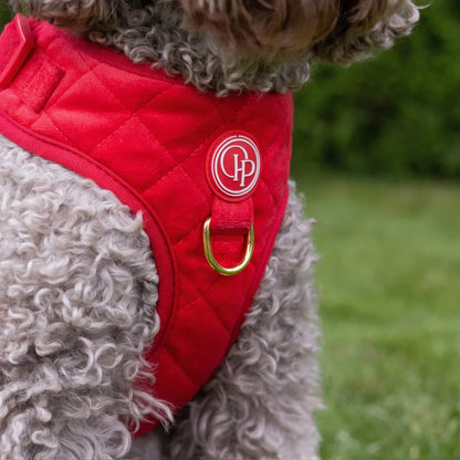 Druckfreies Hundegeschirr aus Samt – Rot