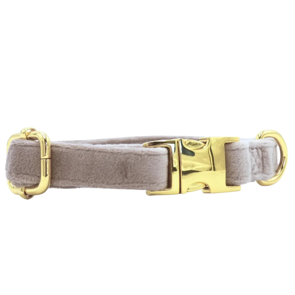 Samt-Halsband mit Fliege – Beige
