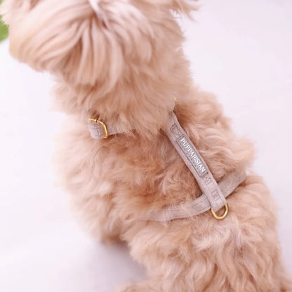 Samt-H-Geschirr – Beige