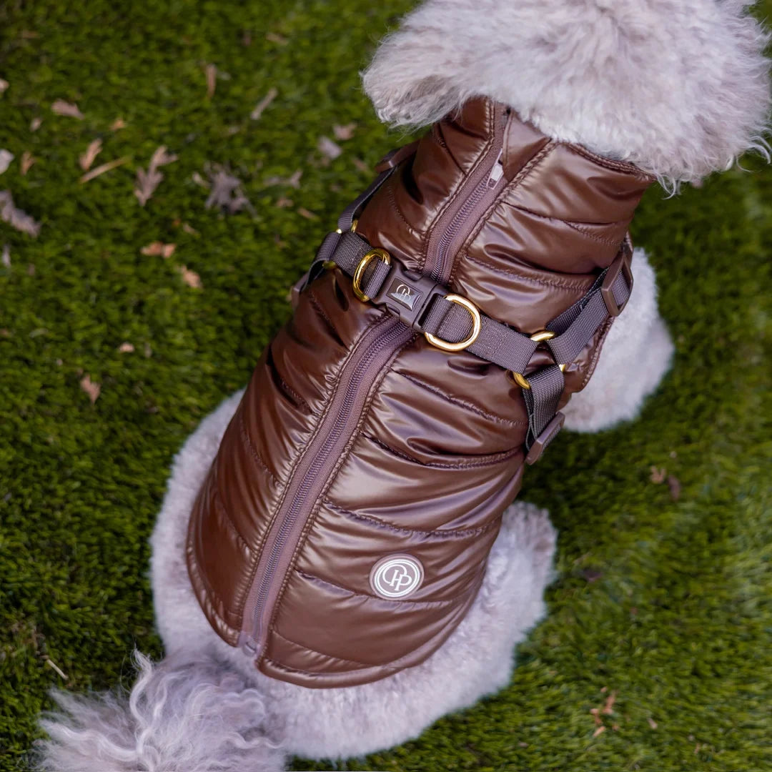 Winter-Hundemantel 2-in-1 (Gefüttert & Wasserfest) mit Geschirr – Braun