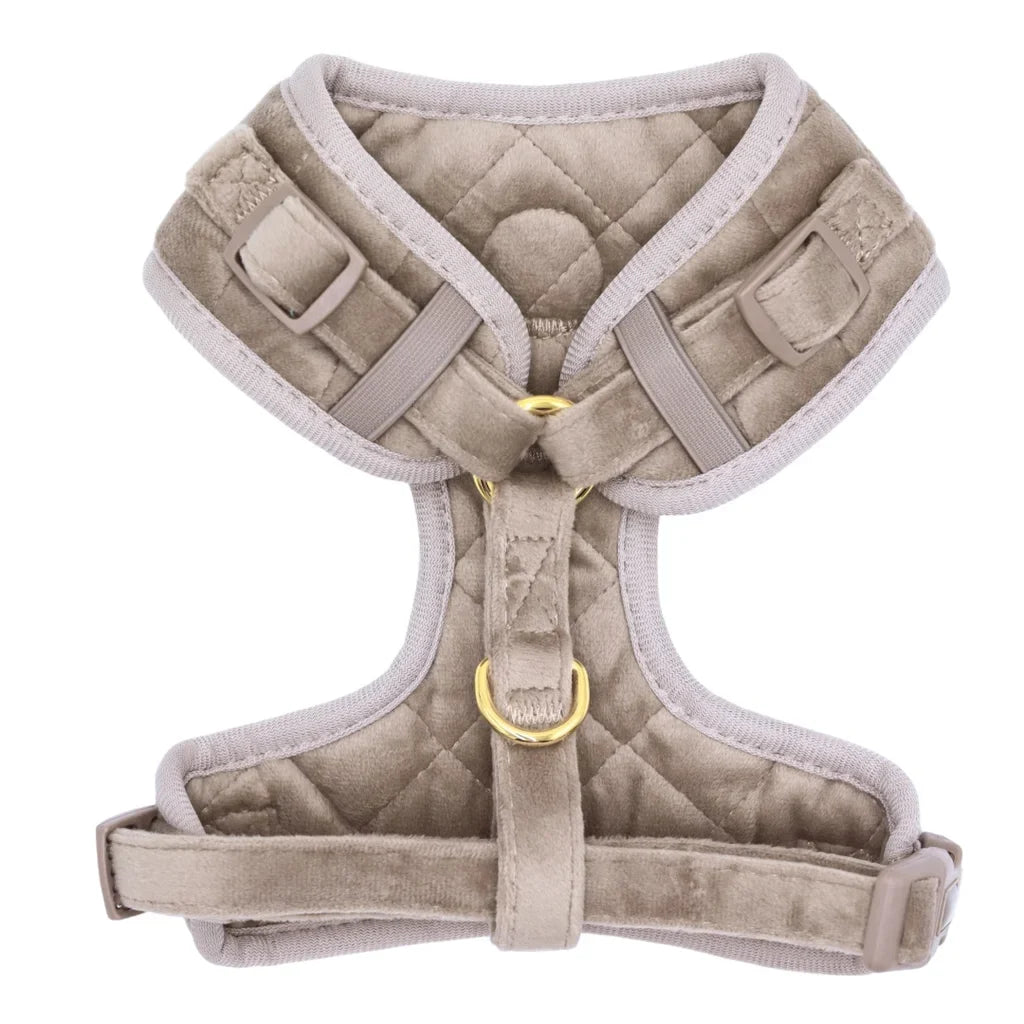 Druckfreies Hundegeschirr aus Samt – Beige