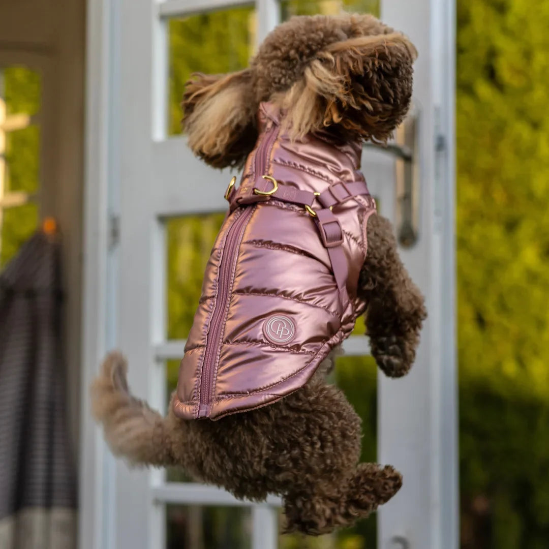Winter-Hundemantel 2-in-1 (Gefüttert & Wasserfest) mit Geschirr – Rosa