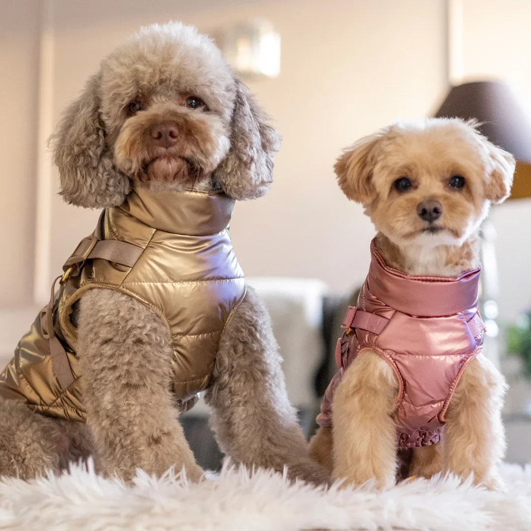 Winter-Hundemantel 2-in-1 (Gefüttert & Wasserfest) mit Geschirr – Rosa