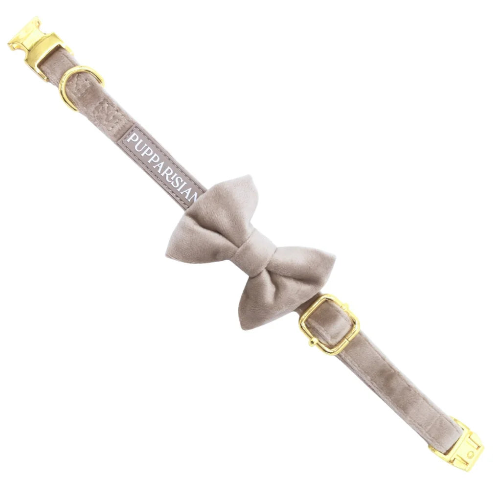 Hundefliege aus Samt – Beige