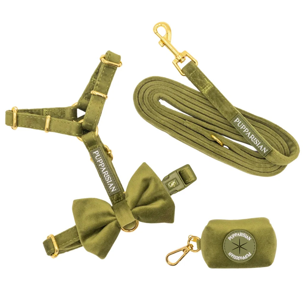 Samt-H-Geschirr mit Schleife – Olivgrün