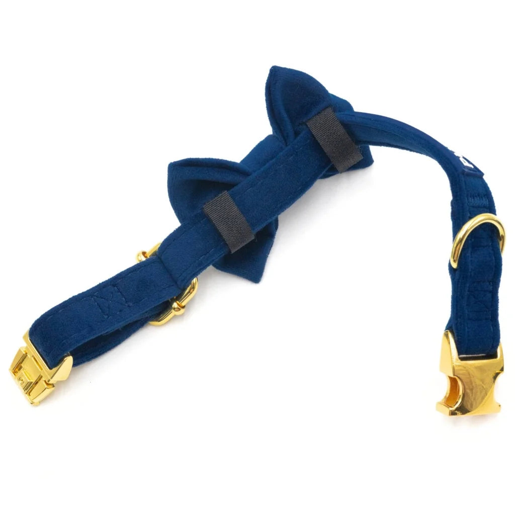Samt-Halsband mit Fliege – Dunkelblau