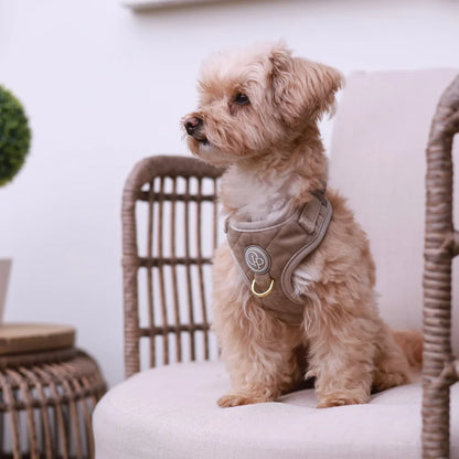Druckfreies Hundegeschirr aus Samt – Beige