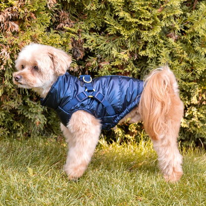 Winter-Hundemantel 2-in-1 (Gefüttert & Wasserfest) mit Geschirr – Dunkelblau