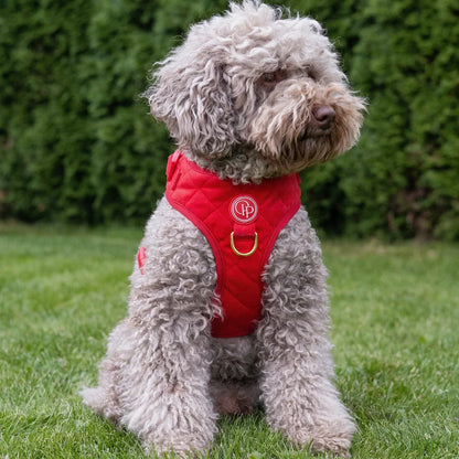 Druckfreies Hundegeschirr aus Samt – Rot