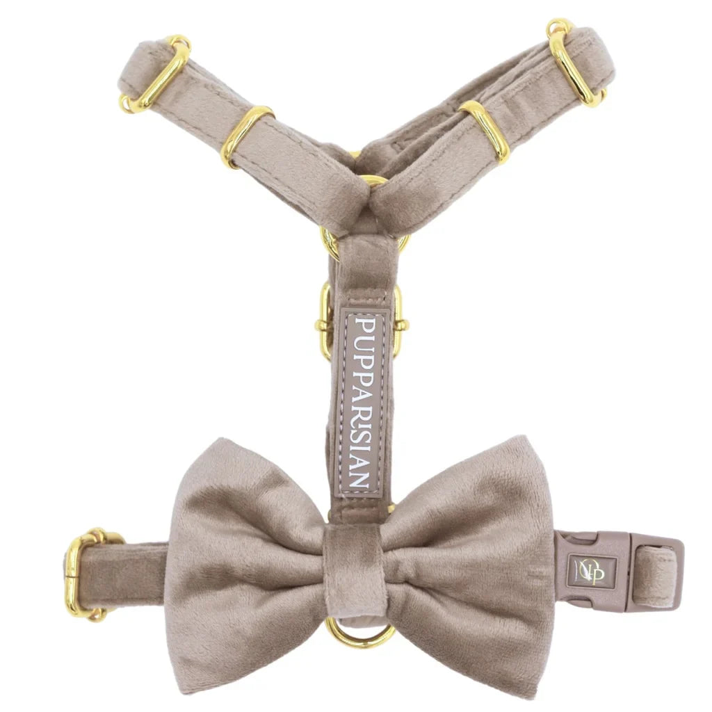 Samt-H-Geschirr – Beige