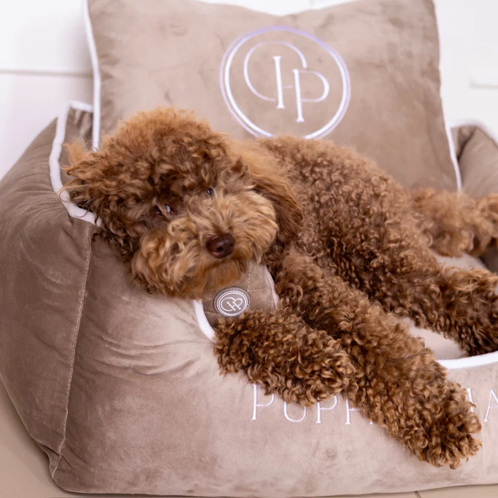 Hundebett aus Samt – Beige