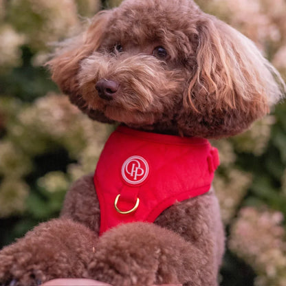 Druckfreies Hundegeschirr aus Samt – Rot