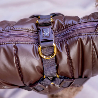 Winter-Hundemantel 2-in-1 (Gefüttert & Wasserfest) mit Geschirr – Braun