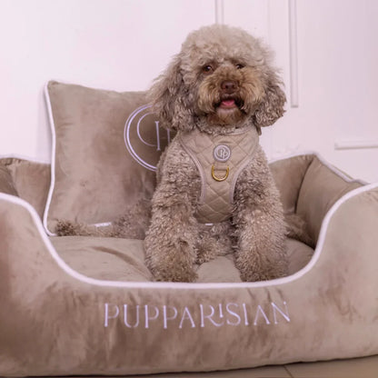 Hundebett aus Samt – Beige