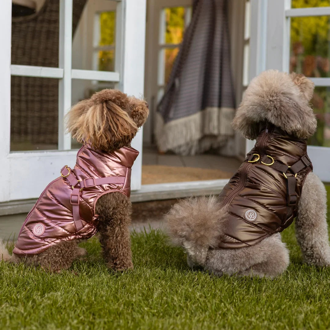 Winter-Hundemantel 2-in-1 (Gefüttert & Wasserfest) mit Geschirr – Braun