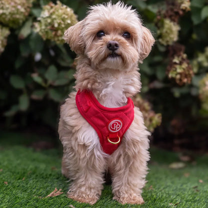 Druckfreies Hundegeschirr aus Samt – Rot